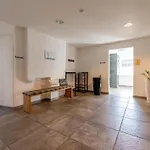 Daire Tauern Mitterwirt Kombi Penthouse Piesendorf