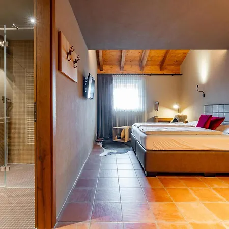 Tauern Mitterwirt Kombi Penthouse Apartament